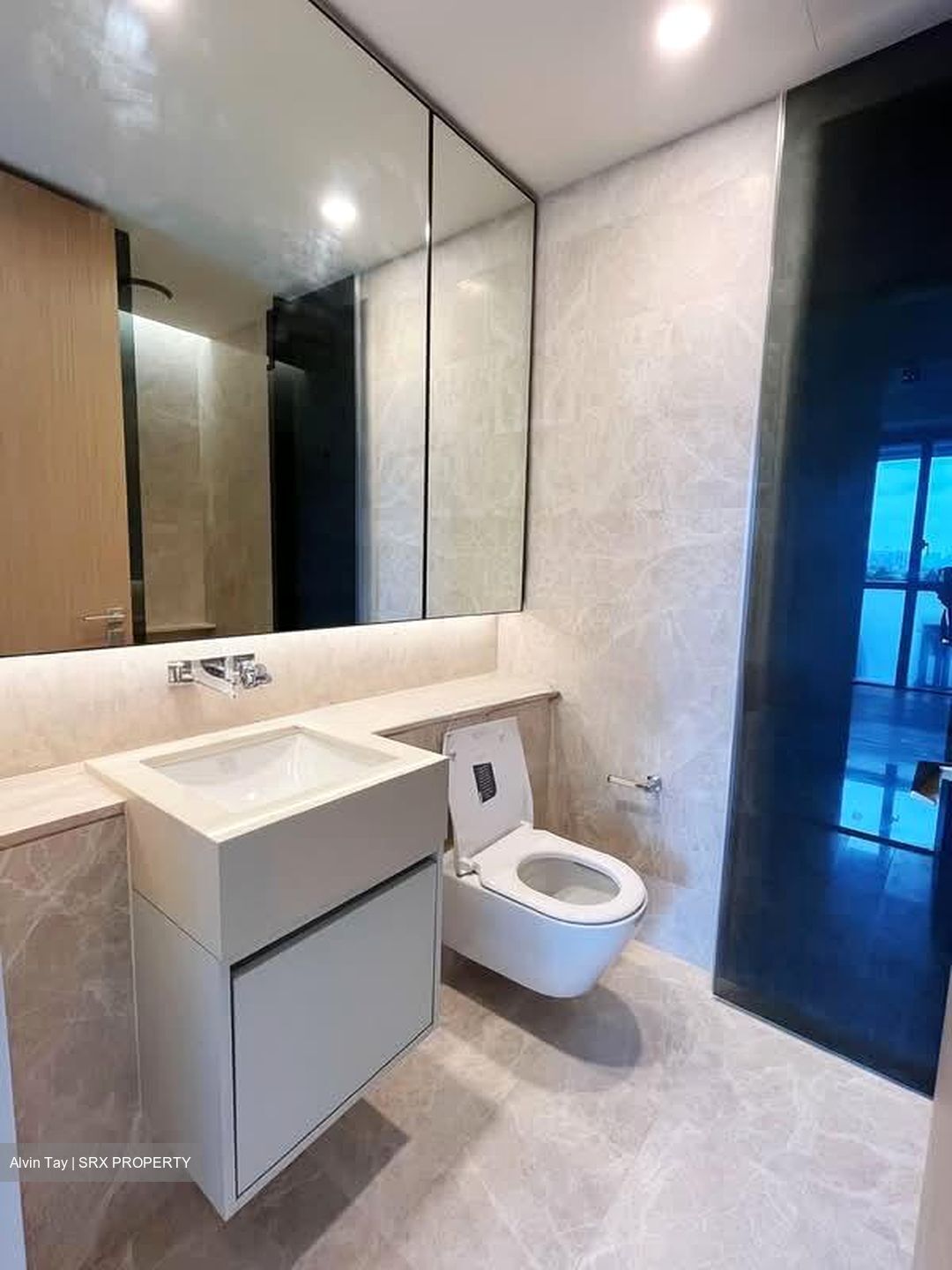 Amber Park (D15), Condominium #562985961